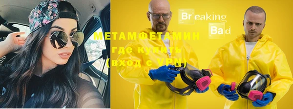 индика Ладушкин