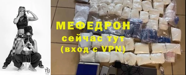индика Ладушкин