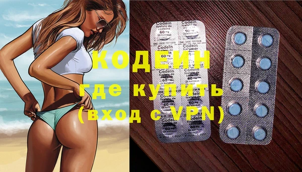 индика Ладушкин