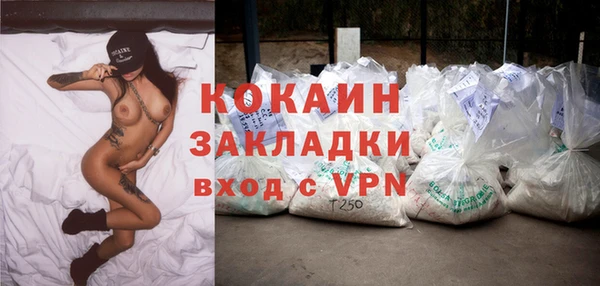 шишки Лагань