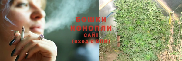 spice Липки