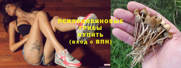 spice Липки