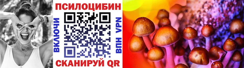 Псилоцибиновые грибы ЛСД  наркотики  Черноголовка 